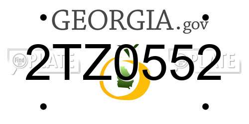 2TZ0552 Georgia License Plate