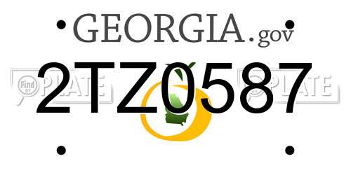 2TZ0587 Georgia License Plate