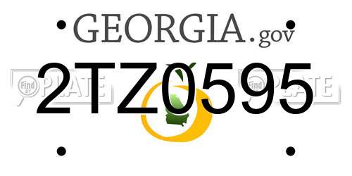 2TZ0595 Georgia License Plate