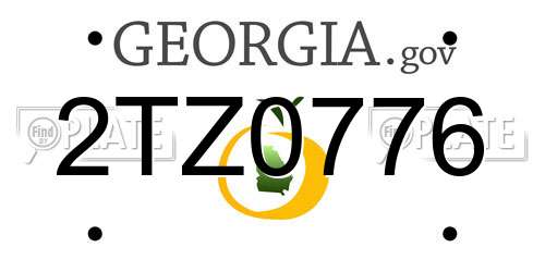 2TZ0776 Georgia License Plate
