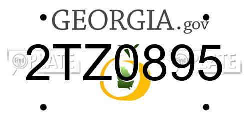 2TZ0895 Georgia License Plate
