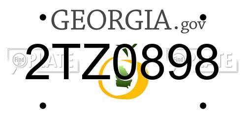 2TZ0898 Georgia License Plate