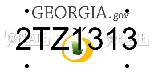 2TZ1313 Georgia License Plate