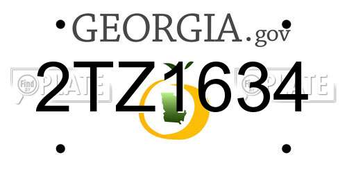 2TZ1634 Georgia License Plate