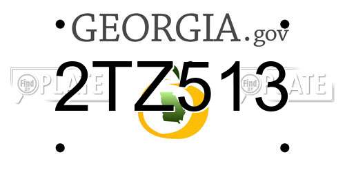 2TZ513 Georgia License Plate