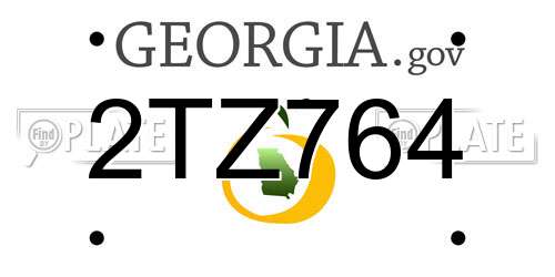 2TZ764 Georgia License Plate