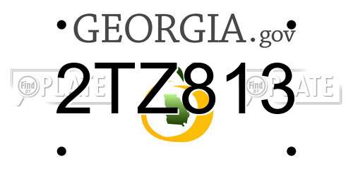 2TZ813 Georgia License Plate