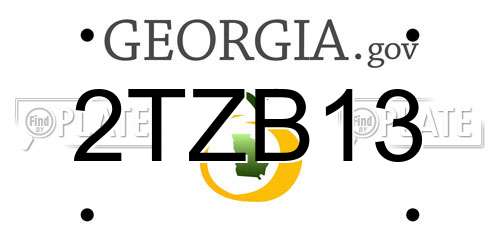 2TZB13 Georgia License Plate