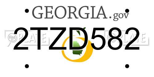 2TZD582 Georgia License Plate