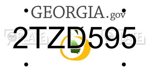 2TZD595 Georgia License Plate