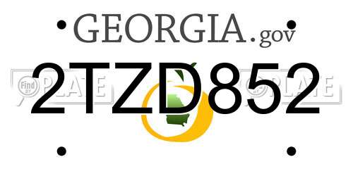 2TZD852 Georgia License Plate