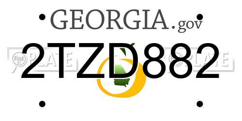 2TZD882 Georgia License Plate