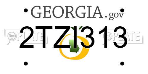 2TZI313 Georgia License Plate