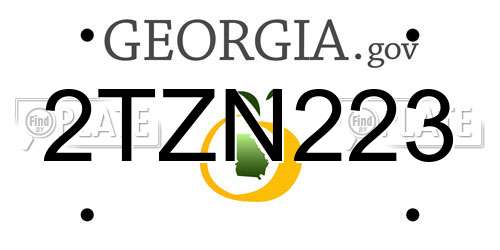 2TZN223 Georgia License Plate