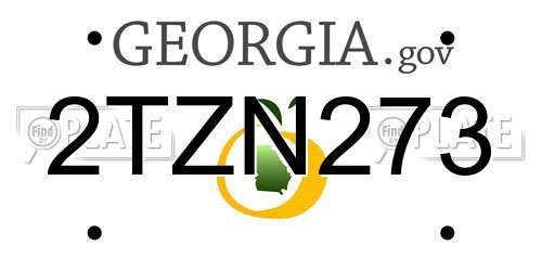 2TZN273 Georgia License Plate