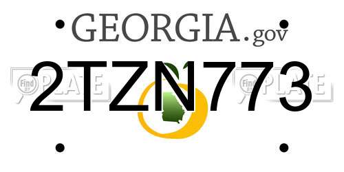 2TZN773 Georgia License Plate