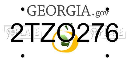 2TZO276 Georgia License Plate