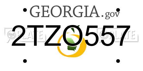 2TZO557 Georgia License Plate