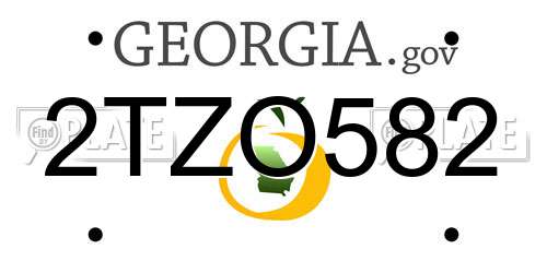 2TZO582 Georgia License Plate