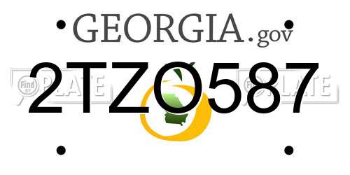 2TZO587 Georgia License Plate