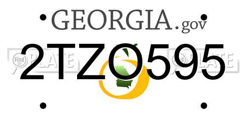 2TZO595 Georgia License Plate