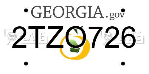 2TZO726 Georgia License Plate