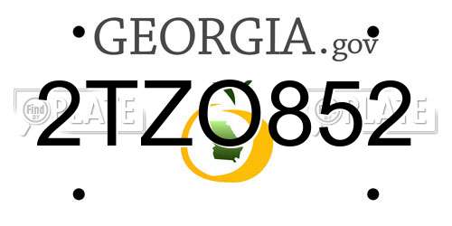 2TZO852 Georgia License Plate