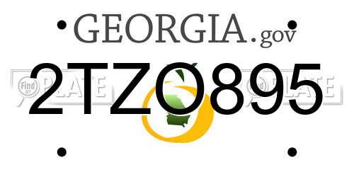 2TZO895 Georgia License Plate