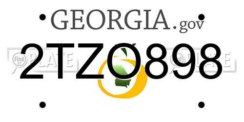 2TZO898 Georgia License Plate