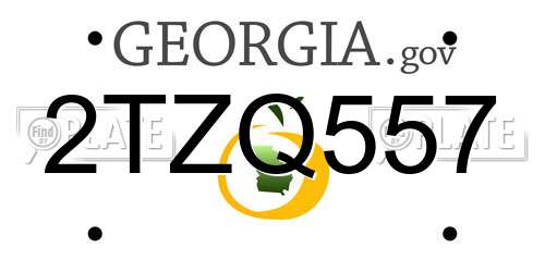 2TZQ557 Georgia License Plate