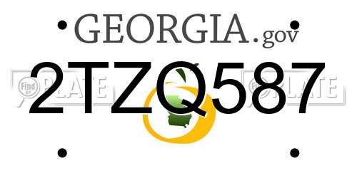 2TZQ587 Georgia License Plate