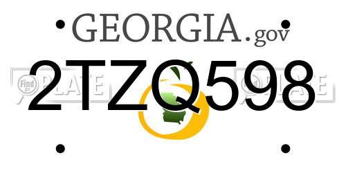 2TZQ598 Georgia License Plate