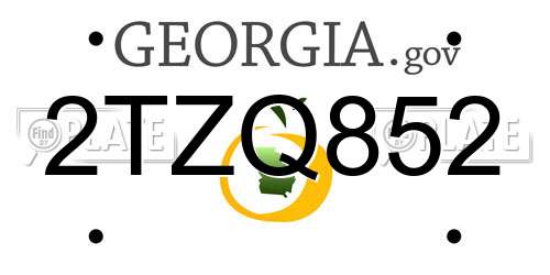 2TZQ852 Georgia License Plate