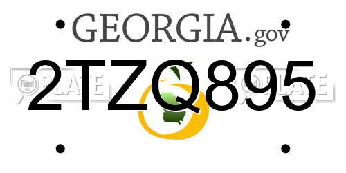 2TZQ895 Georgia License Plate
