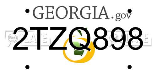 2TZQ898 Georgia License Plate