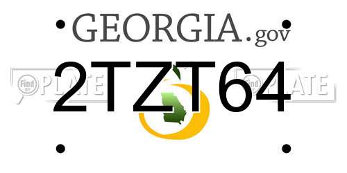 2TZT64 Georgia License Plate