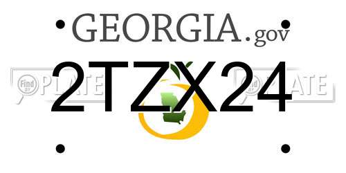 2TZX24 Georgia License Plate