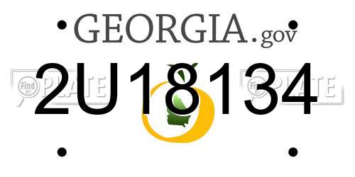 2U18134 Georgia License Plate
