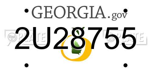 2U28755 Georgia License Plate