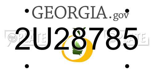 2U28785 Georgia License Plate