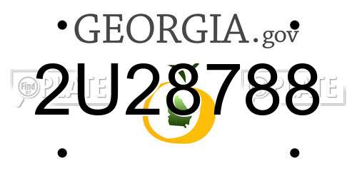 2U28788 Georgia License Plate