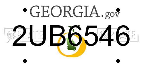 2UB6546 Georgia License Plate