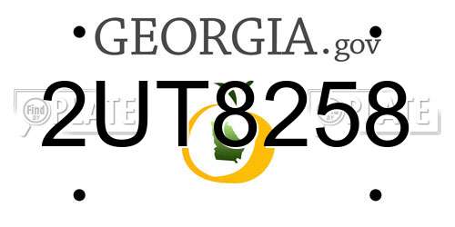 2UT8258 Georgia License Plate