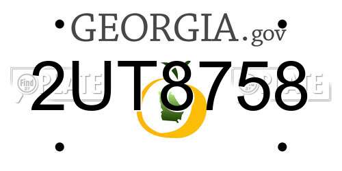 2UT8758 Georgia License Plate