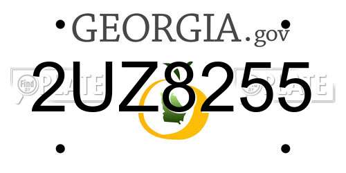 2UZ8255 Georgia License Plate
