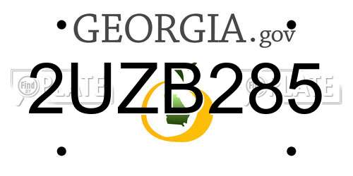 2UZB285 Georgia License Plate