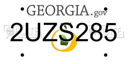2UZS285 Georgia License Plate