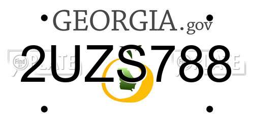 2UZS788 Georgia License Plate