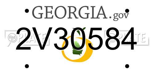 2V30584 Georgia License Plate
