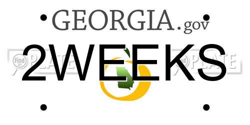 2WEEKS Georgia License Plate